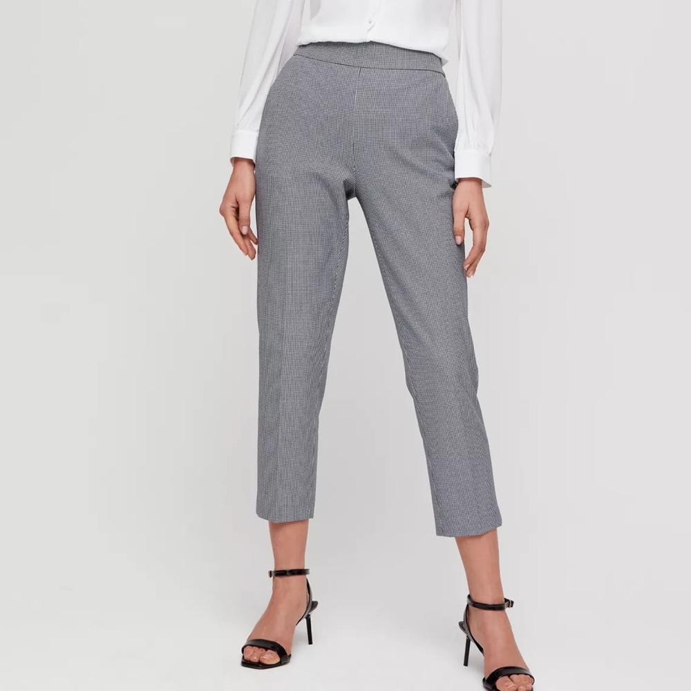 Aritzia Babaton Chadwick Pant